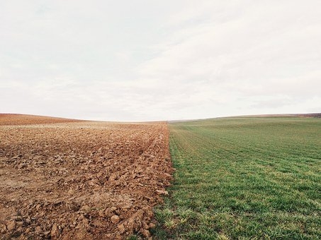 Rubrik_Landwirtschaft_Naturschutz_-_Boden-farmland-801817__340